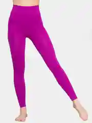 Фуксия легинсы Giulia Leggings 01