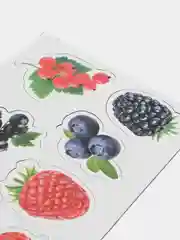 Магниты "Ягоды"