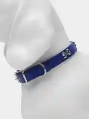 Синий ошейник для собак и кошек, кожаный, прочный, 4 вида