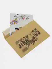 Конверт подарочный для денег с фото открыткой k-pop "Stray Kids"