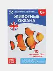 Оливковый развивающие карточки по методике Г. Домана в одном месте (мега)