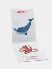 Оливковый развивающие карточки по методике Г. Домана в одном месте (мега)