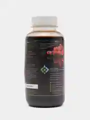 Живая Земля