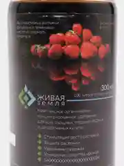 Живая Земля