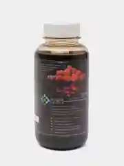 Живая Земля