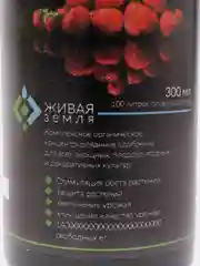 Живая Земля
