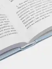 Новейшие сведения о развитии души. Секлитова Лариса, Стрельникова Людмила