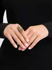 Золотой кольцо на Новый Год Змея, дракон