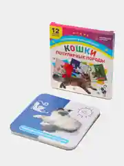 "Кошки. Популярные породы" 12 цветных карточек, набор для занятий с детьми