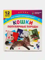 "Кошки. Популярные породы" 12 цветных карточек, набор для занятий с детьми