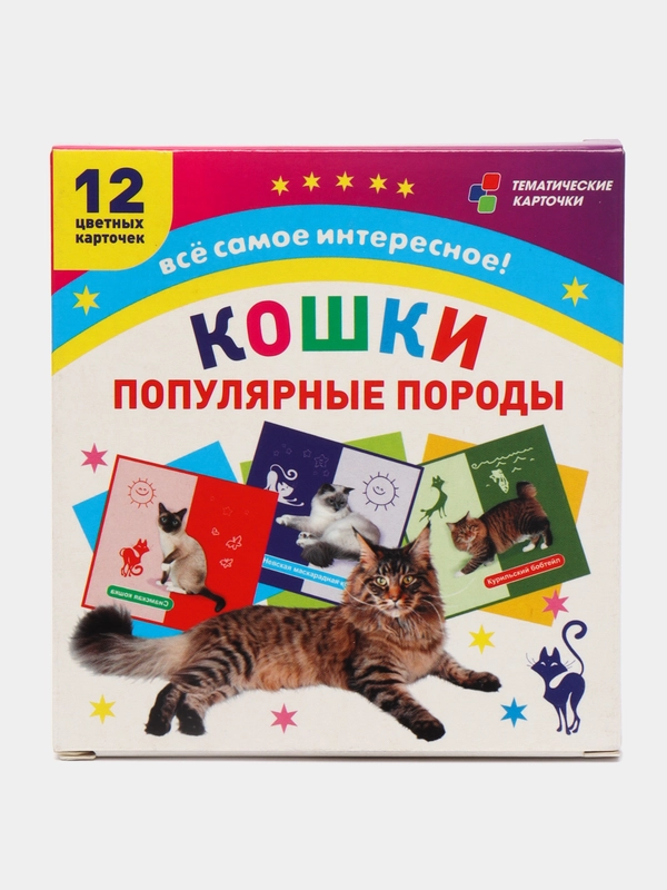 "Кошки. Популярные породы" 12 цветных карточек, набор для занятий с детьми