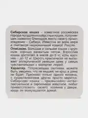"Кошки. Популярные породы" 12 цветных карточек, набор для занятий с детьми