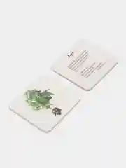 Вершки и корешки, игры на узнавание, нахождение пар и другое, 24 карточки