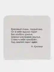 Птицы: 12 карточек, с красочными картинками, стихами и загадками для занятий с детьми