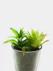Зеленый искусственные растения в горшках, 2 шт