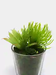 Лесной зеленый искусственные растения в горшках, 2 шт
