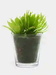 Лесной зеленый искусственные растения в горшках, 2 шт