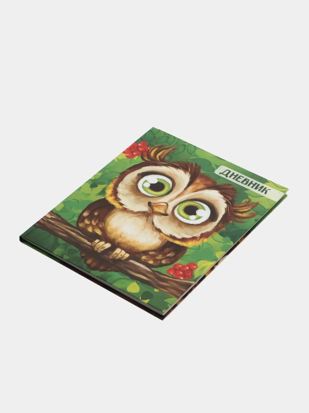Красный школьный дневник, 1-11 класс