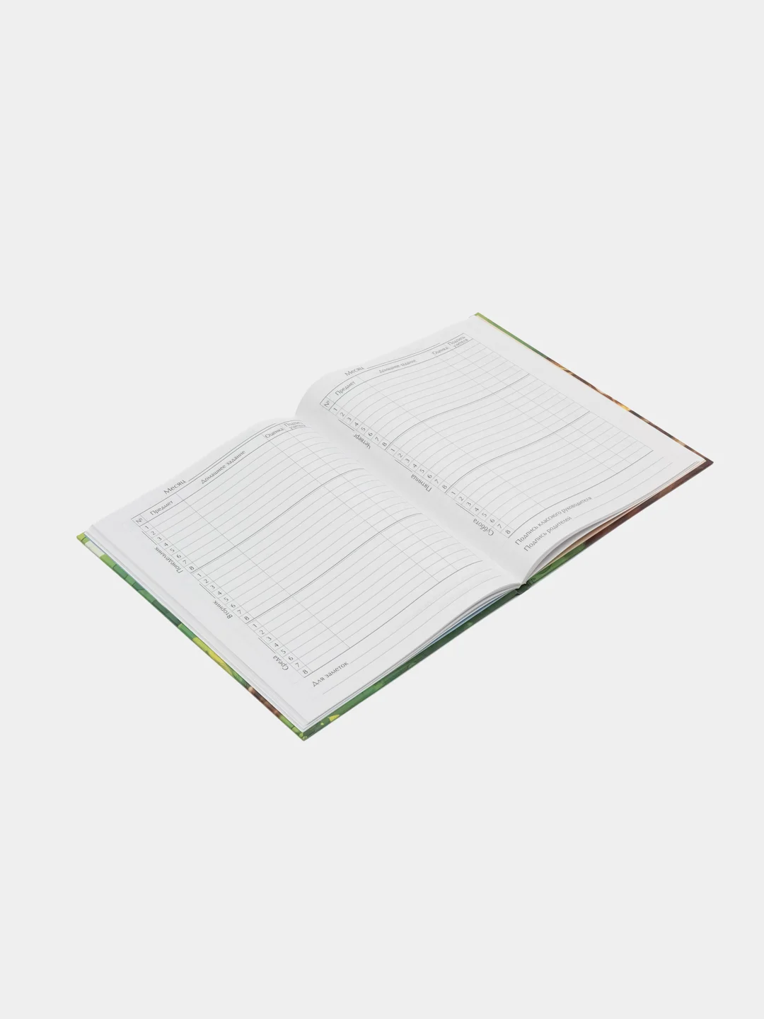 Красный школьный дневник, 1-11 класс