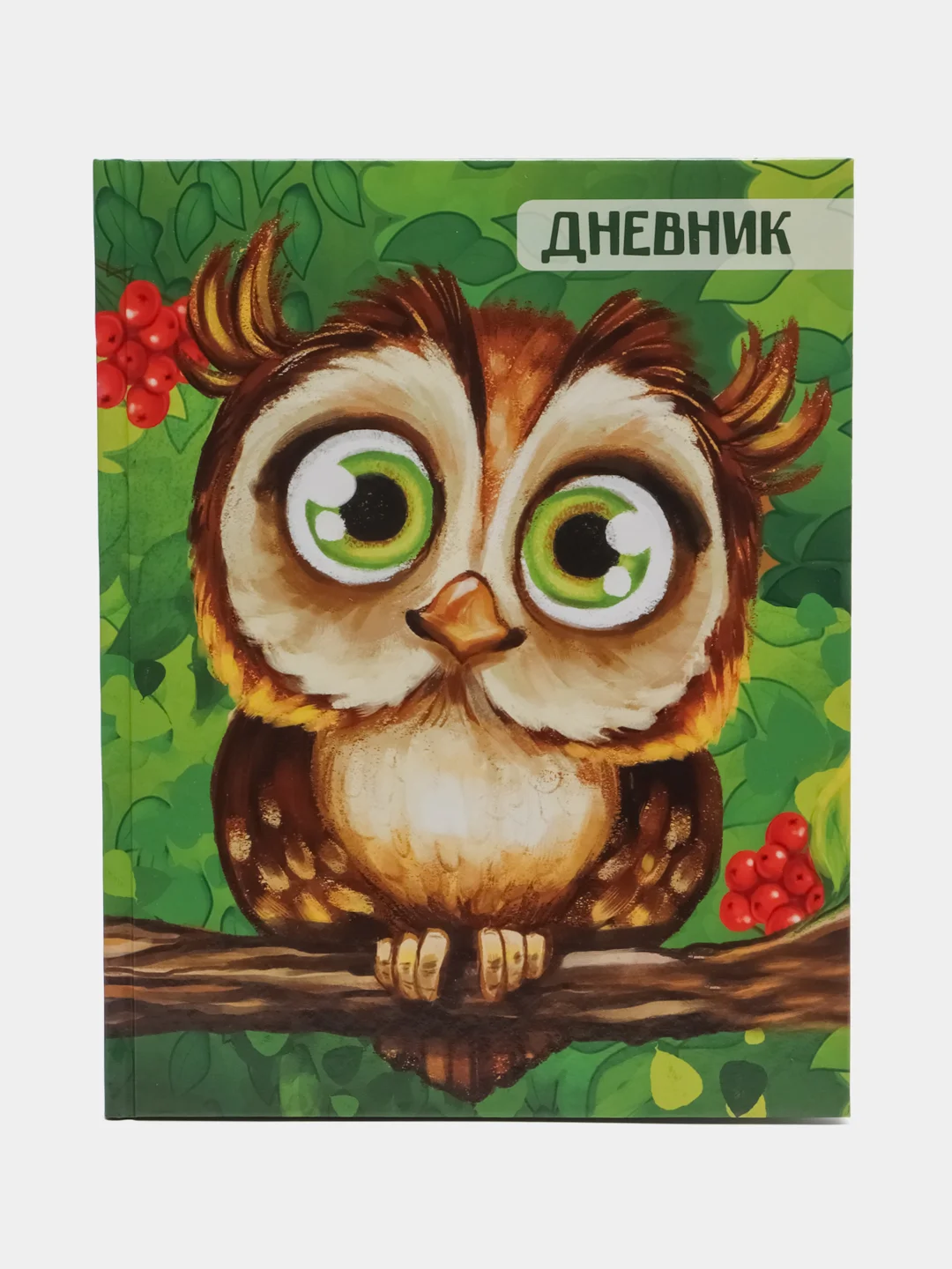 Красный школьный дневник, 1-11 класс