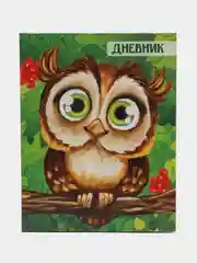 Красный школьный дневник, 1-11 класс