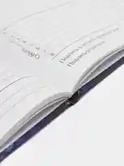 Рыжий школьный дневник, 1-11 класс