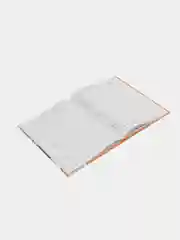Ледяной школьный дневник, 1-11 класс