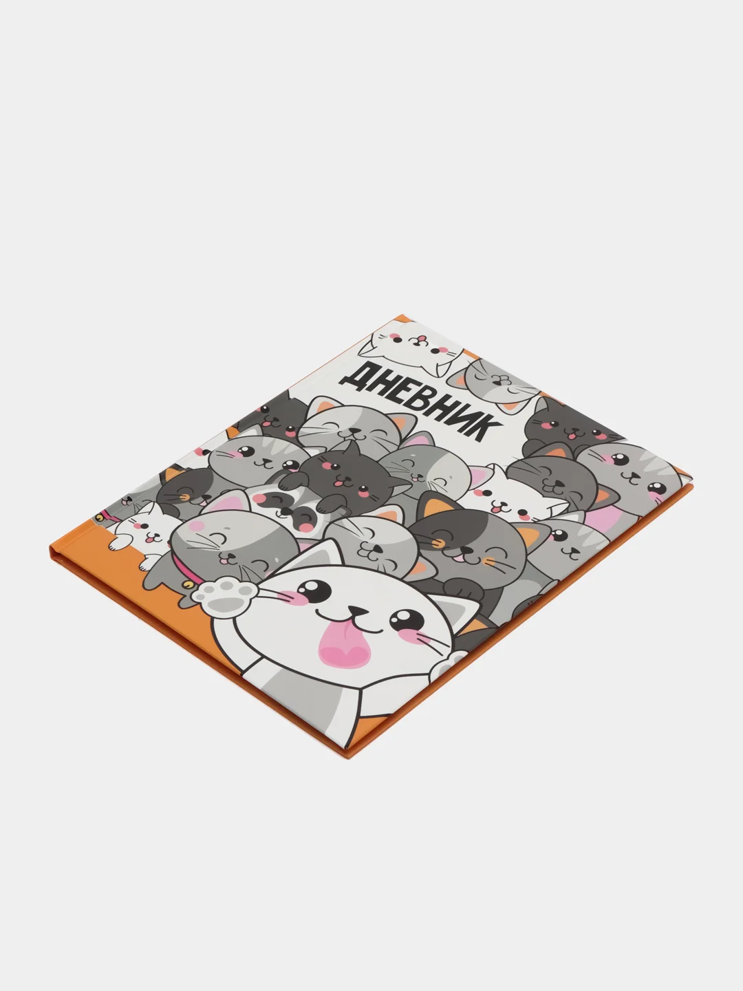 Ледяной школьный дневник, 1-11 класс