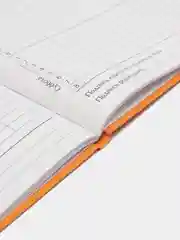 Ледяной школьный дневник, 1-11 класс