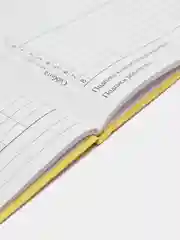 Манго школьный дневник, 1-11 класс