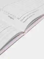 Песочный хаки школьный дневник, 1-11 класс