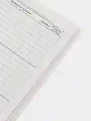 Вишнёвый школьный дневник, 1-11 класс