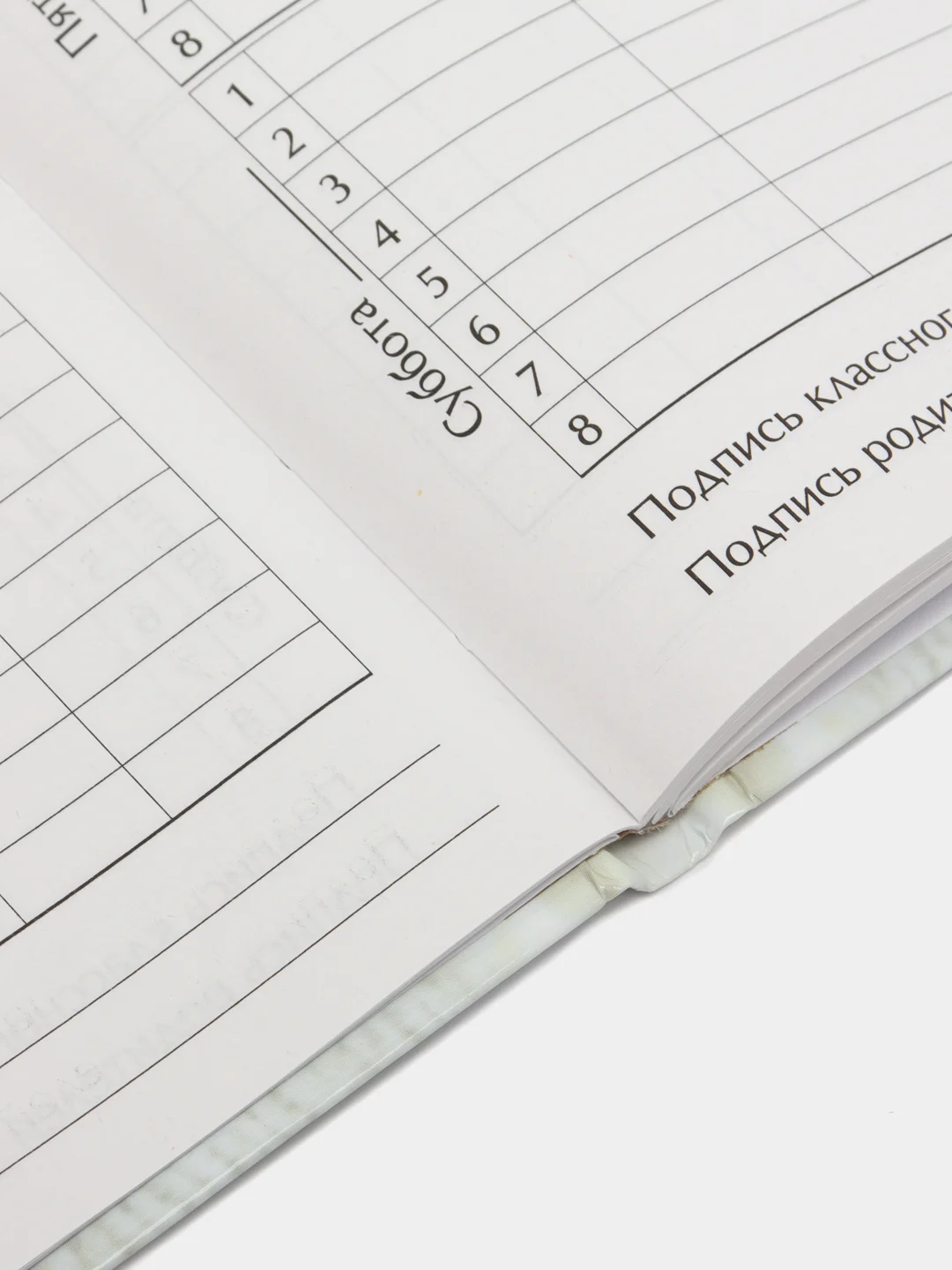 Зеленый школьный дневник, 1-11 класс