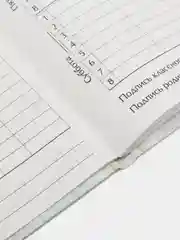Зеленый школьный дневник, 1-11 класс