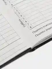 Багровый школьный дневник, 1-11 класс