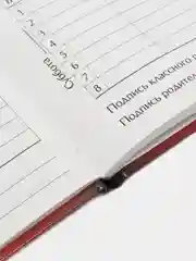 Медный школьный дневник, 1-11 класс