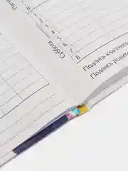 Желтый школьный дневник, 1-11 класс
