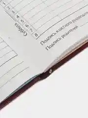Горчичный школьный дневник, 1-11 класс