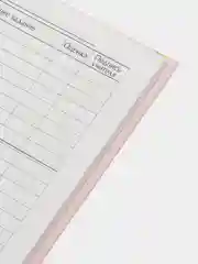 Мятный школьный дневник, 1-11 класс