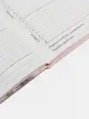 Мятный школьный дневник, 1-11 класс