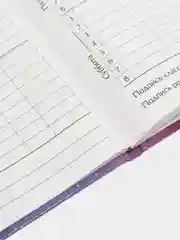 Розовый школьный дневник, 1-11 класс