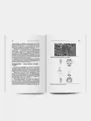 Книга Мышление. Системное исследование. Академия смысла