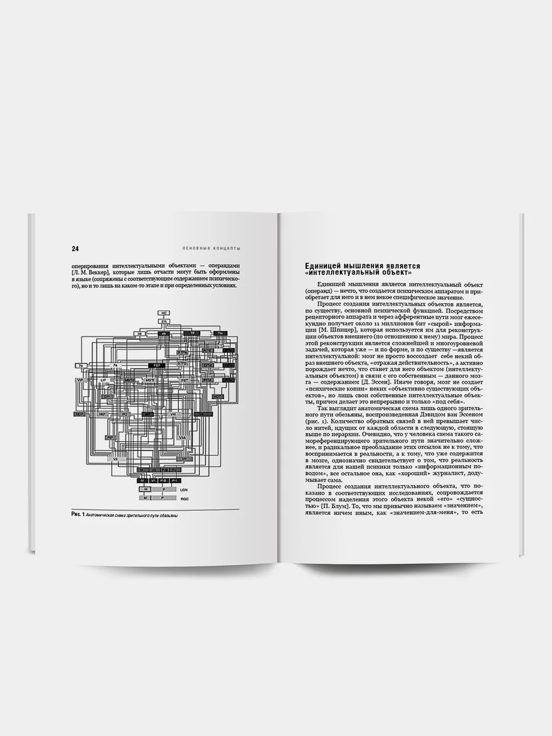 Книга Мышление. Системное исследование. Академия смысла