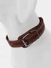 Коричневый ошейник c кольцом, из натуральной кожи, 25 х 580 мм