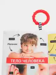 Книжка-игрушка ИЗУЧАЕМ ЧЕЛОВЕКА, 330643 Happy Baby