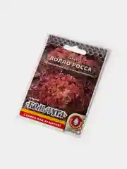 Семена Салат "Лолло Росса"