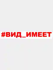 Красный наклейка на авто "#Вид имеет", 25 х 3 см