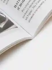 Книга "Скутеры с дисковыми тормозами китайского производства №20", не цветная, 50 куб. см