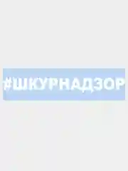 Наклейка на авто / машину / стекло "#ШКУРНАДЗОР" 25 х 3 см