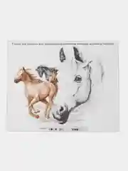 Белый набор для вышивания (вышивка) крестом, 50*40 см